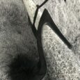 s-l1600-2917.jpg