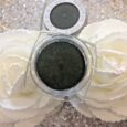 L Oreal Fard A Paupieres Infaillible Tenue 24h Et Waterproof 029 Smocky Green